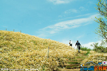 韩国济州岛汉拿山